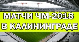 Какие матчи ЧМ-2018 пройдут в Калининграде