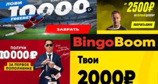 Какую букмекерскую конторы выбрать в России? Легальные БК
