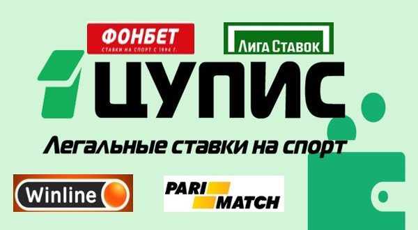Ставки на спорт через ЦУПИС: список букмекеров РФ