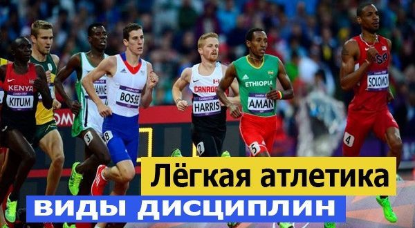 Виды лёгкой атлетики и их характеристика. Классификация дисциплин