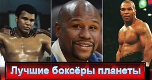 Кто лучший боксёр в мире за всю историю? ТОП-5 боксёров всех времён