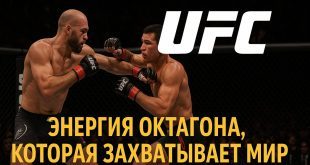 ufc energiya oktagona